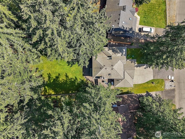 drone / aerial view