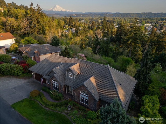 10910 48th Street Ct E, Edgewood, WA 98372 - view from above of property featuring a heavily wooded area