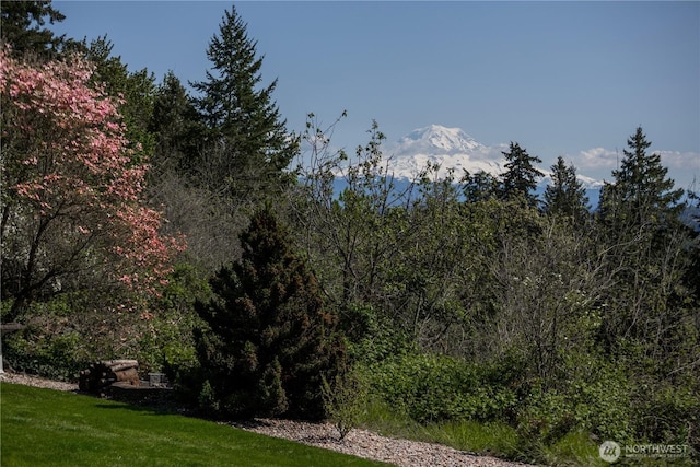 10910 48th Street Ct E, Edgewood, WA 98372 - view of yard
