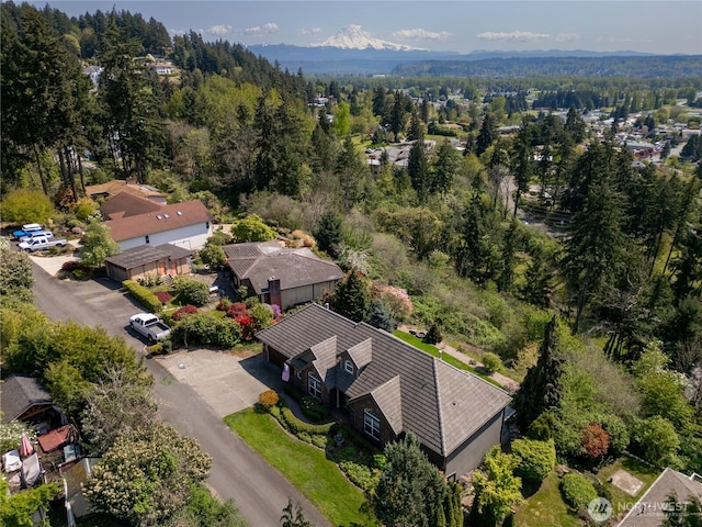 10910 48th Street Ct E, Edgewood, WA 98372 - aerial view of residential area featuring a heavily wooded area