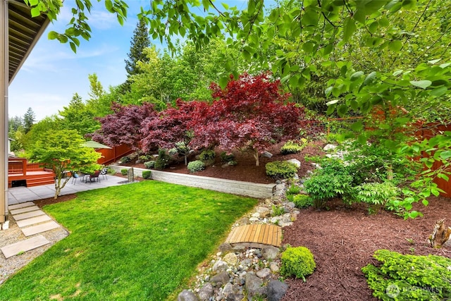view of green lawn with a patio area and a deck