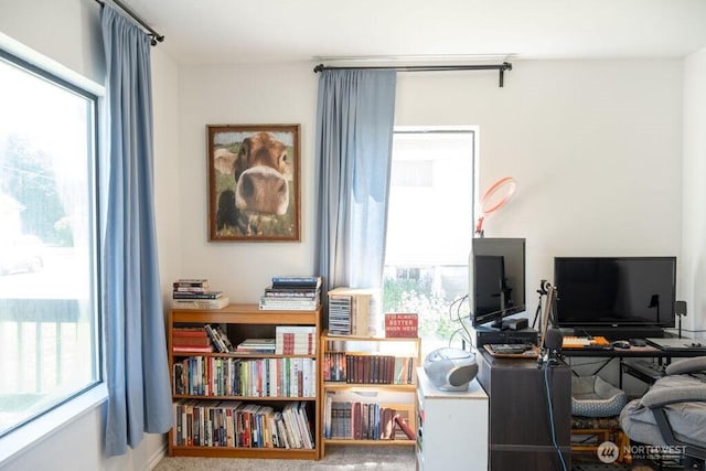 616 Pleasant St, Walla Walla, WA 99362 - office area featuring a healthy amount of sunlight