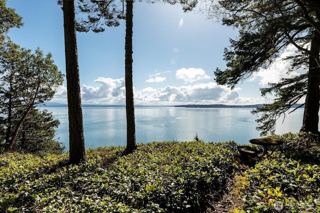 property view of water