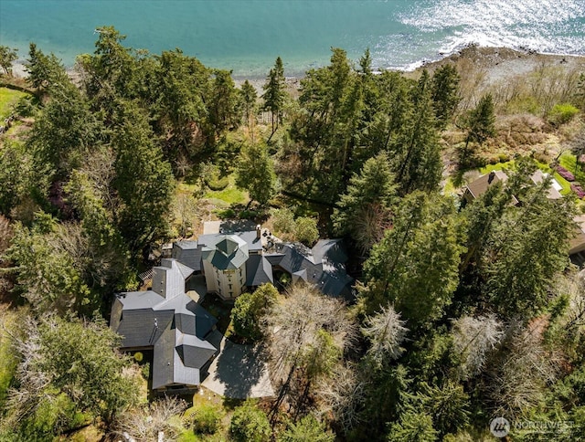 bird's eye view