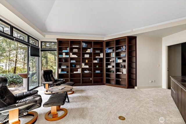 living area featuring carpet flooring