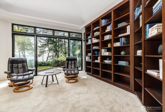 living area featuring carpet