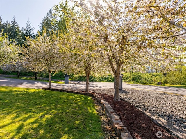 exterior space featuring curved driveway