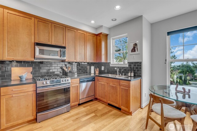 kitchen with dark countertops, light wood-style floors, tasteful backsplash, a sink, and stainless steel appliances