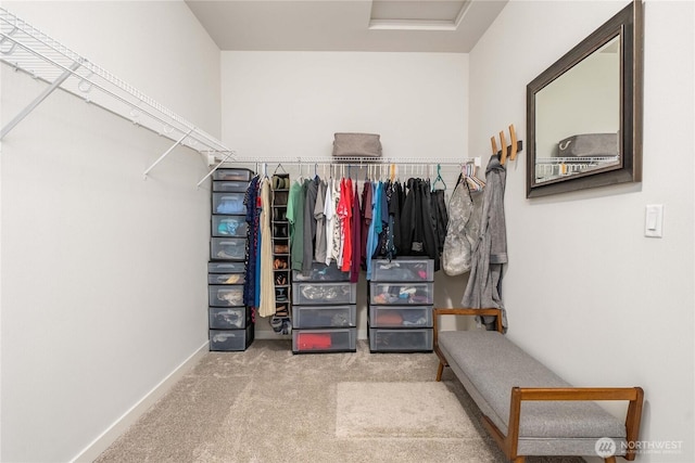 spacious closet with carpet floors and attic access