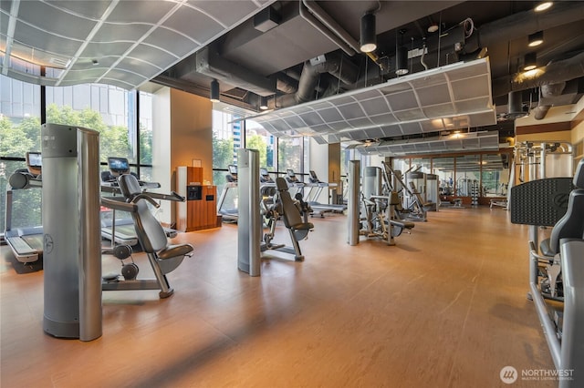 workout area with expansive windows, wood finished floors, and a healthy amount of sunlight