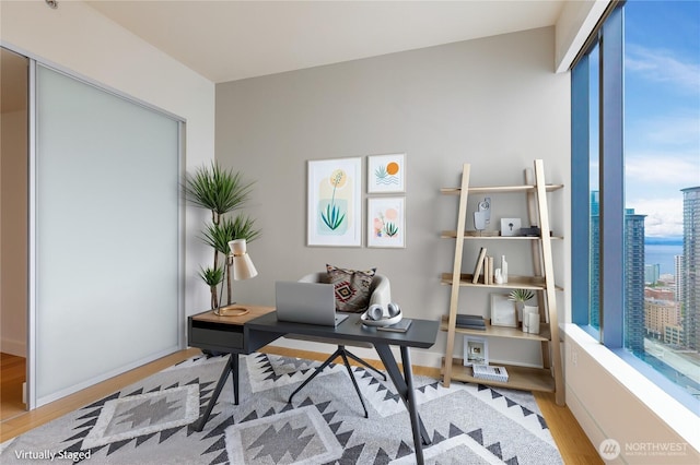 office space with wood finished floors