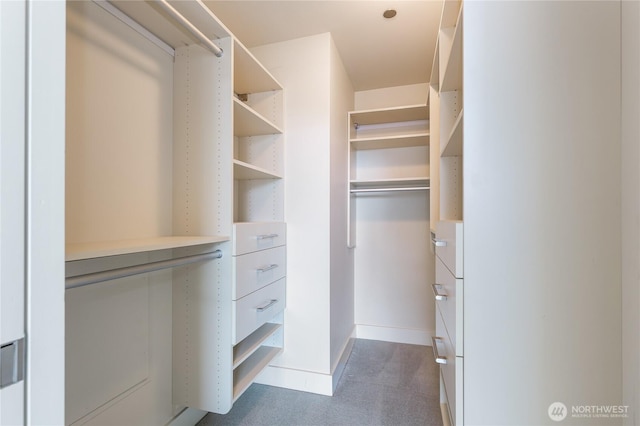 walk in closet with carpet