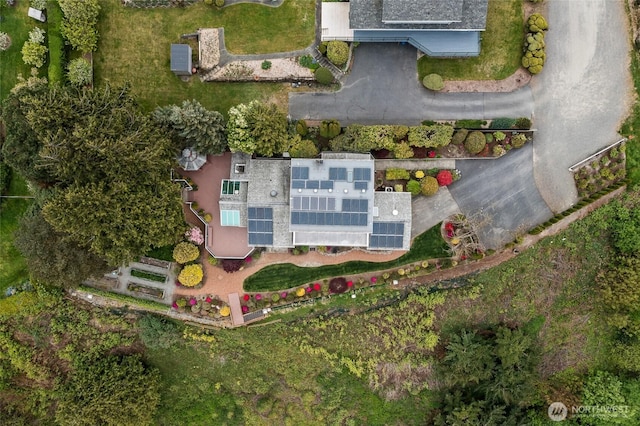 bird's eye view