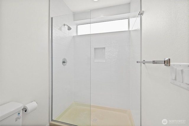 bathroom with toilet and a stall shower