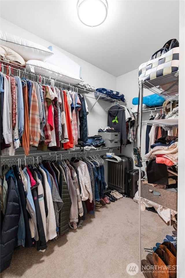 802 SE Cody St, Rainier, WA 98576 - walk in closet featuring carpet