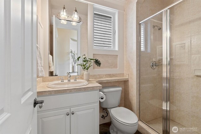 bathroom with toilet, a shower stall, and vanity