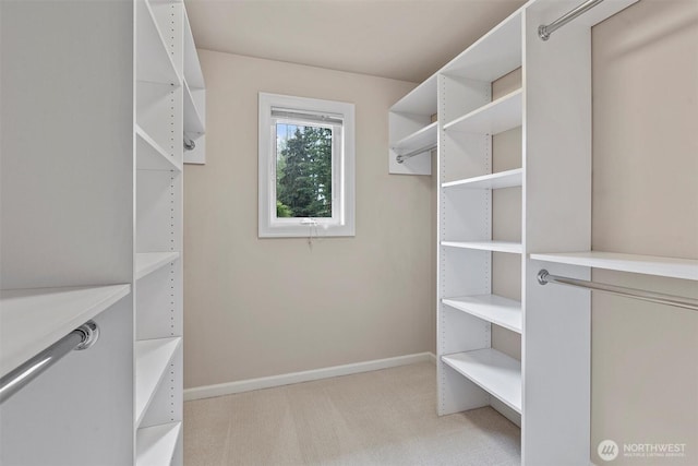 spacious closet featuring light carpet