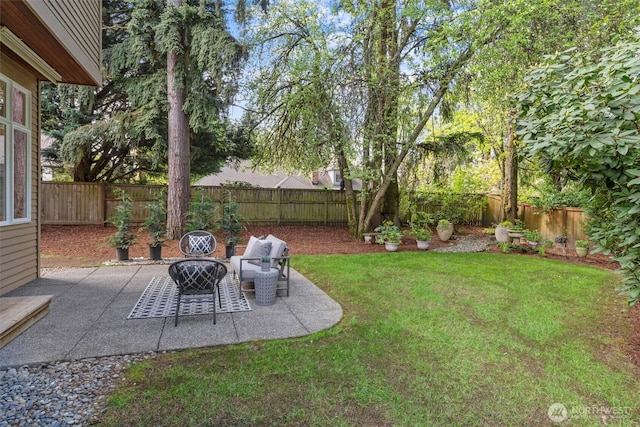view of yard with a patio and a fenced backyard