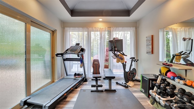 exercise area with wood finished floors and a tray ceiling