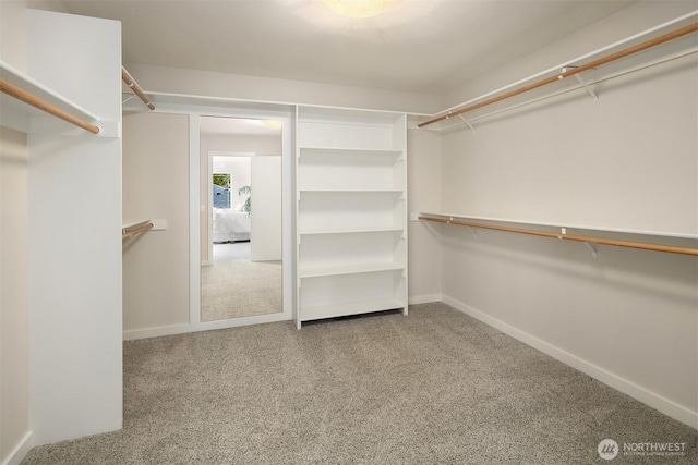 spacious closet with carpet