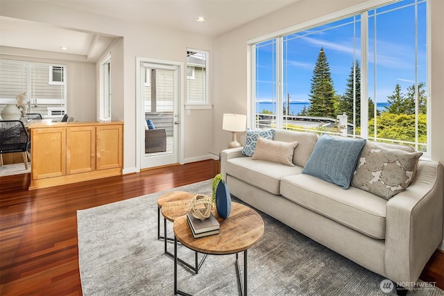 living area with recessed lighting, baseboards, dark wood finished floors, and a wealth of natural light