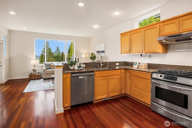 kitchen with a peninsula, dark wood-style floors, under cabinet range hood, a sink, and stainless steel appliances
