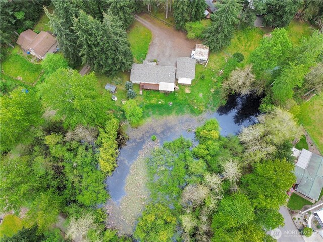 drone / aerial view