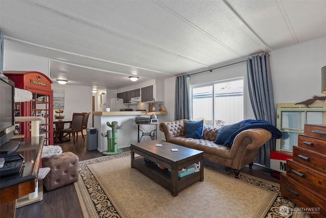 living room with a textured ceiling and wood finished floors