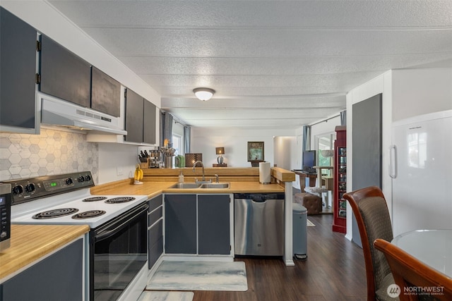 kitchen with stainless steel dishwasher, a peninsula, range with electric stovetop, under cabinet range hood, and a sink