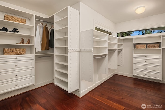spacious closet featuring dark wood-type flooring