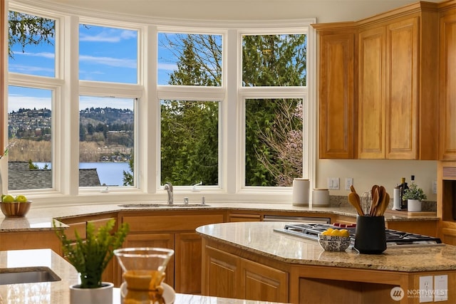 sunroom with a sink