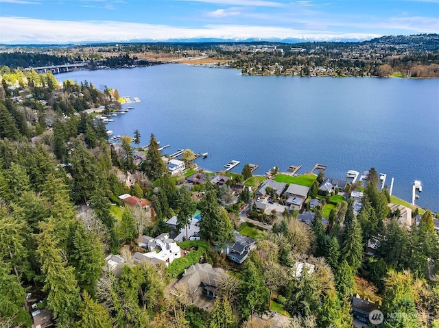 birds eye view of property with a residential view and a water view