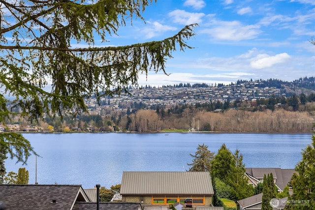 property view of water