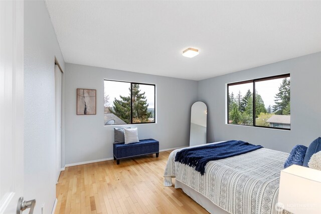 bedroom featuring light wood-type flooring, baseboards, and multiple windows