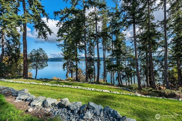 1447 Everette Ln, Freeland, WA 98249 - view of water feature