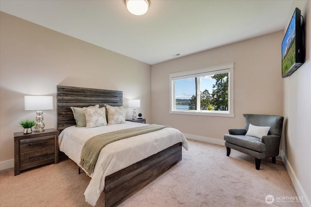 1447 Everette Ln, Freeland, WA 98249 - bedroom with baseboards and light colored carpet