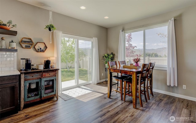 dining space featuring baseboards, a mountain view, wood finished floors, and a wealth of natural light