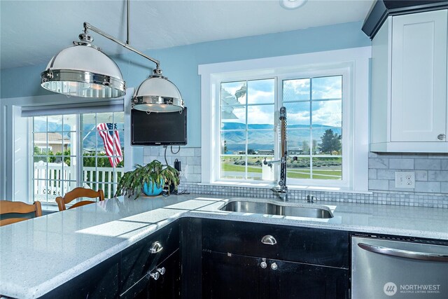 kitchen with stainless steel dishwasher, plenty of natural light, a sink, and tasteful backsplash