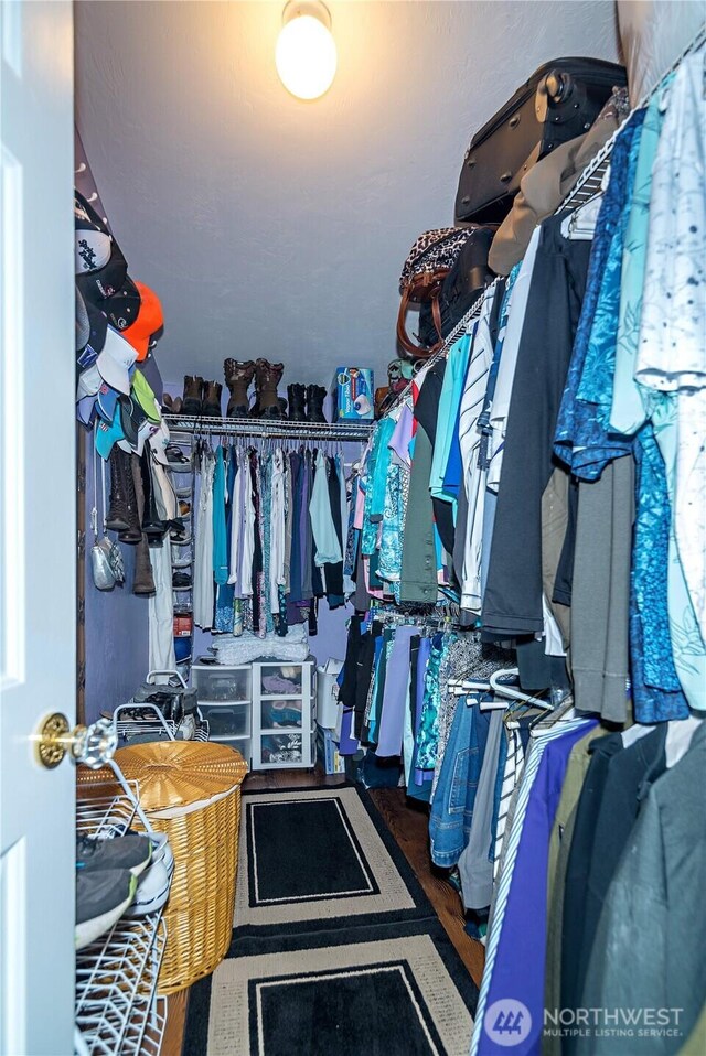 view of walk in closet