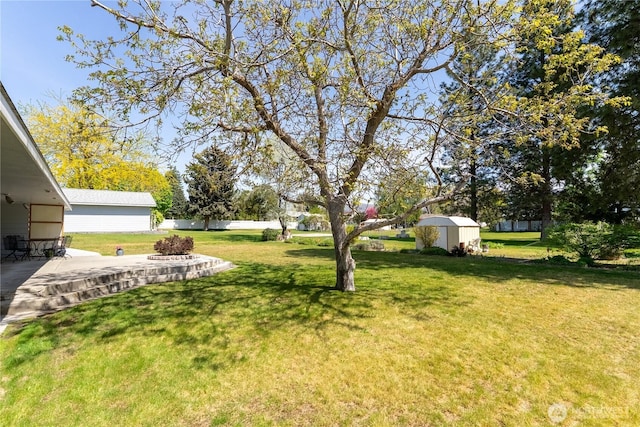 view of yard featuring a storage unit, an outdoor structure, and a patio