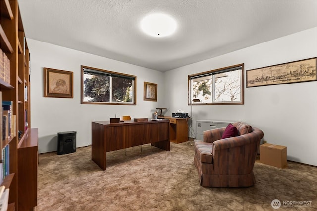 carpeted office with a textured ceiling