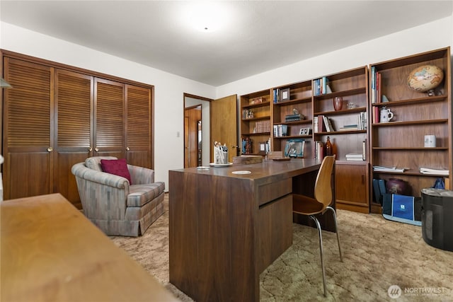 office area with light colored carpet and built in study area