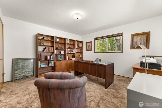 office space with light colored carpet