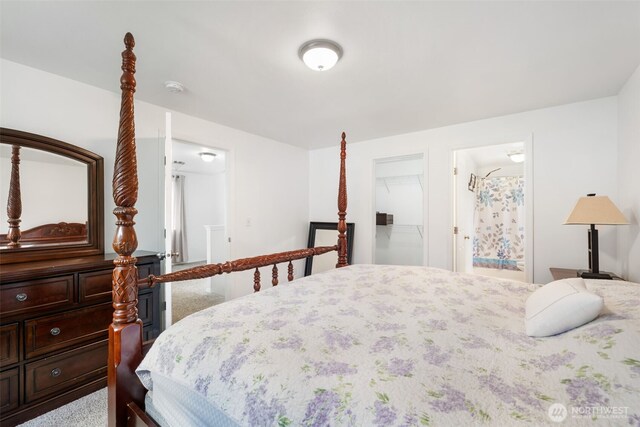 bedroom featuring a closet, ensuite bath, and a spacious closet