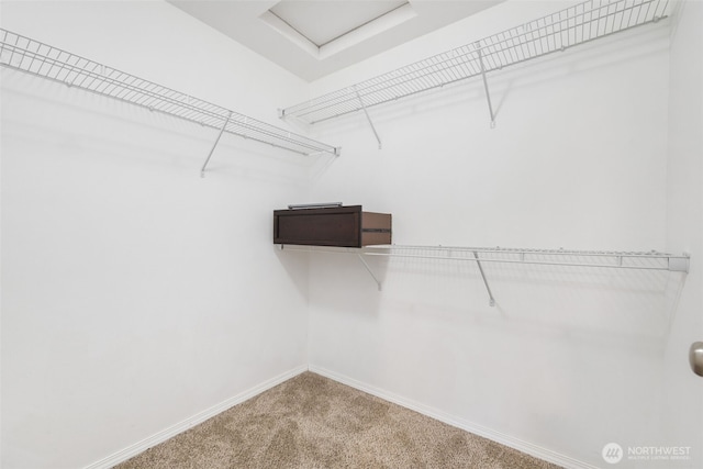 walk in closet with carpet and attic access