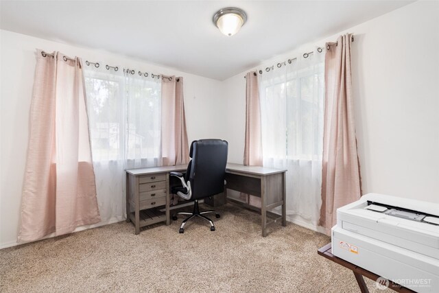 view of carpeted home office