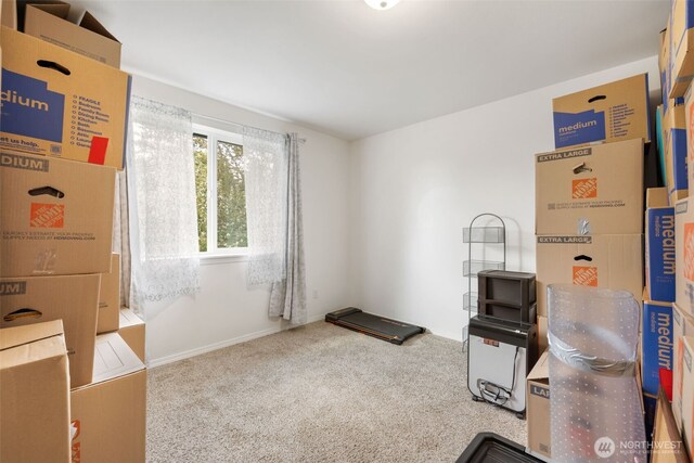 misc room with baseboards and carpet