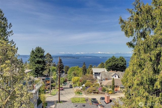 property view of water featuring a mountain view