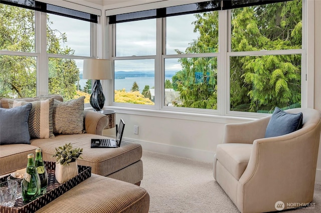 sunroom / solarium with baseboards, carpet flooring, and a water view