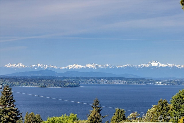 water view featuring a mountain view